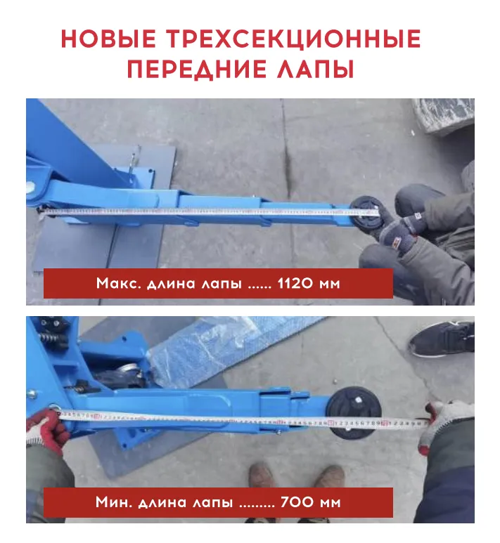 лапы.jpg